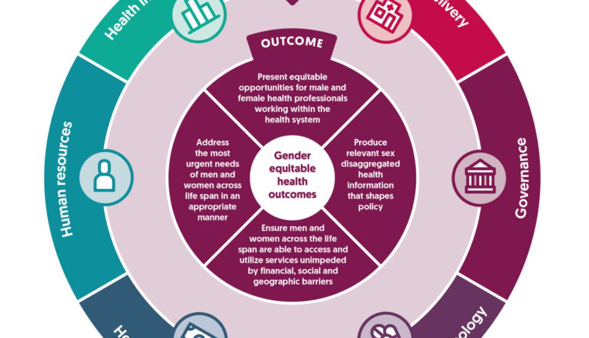 Gender policy in health systems diagram