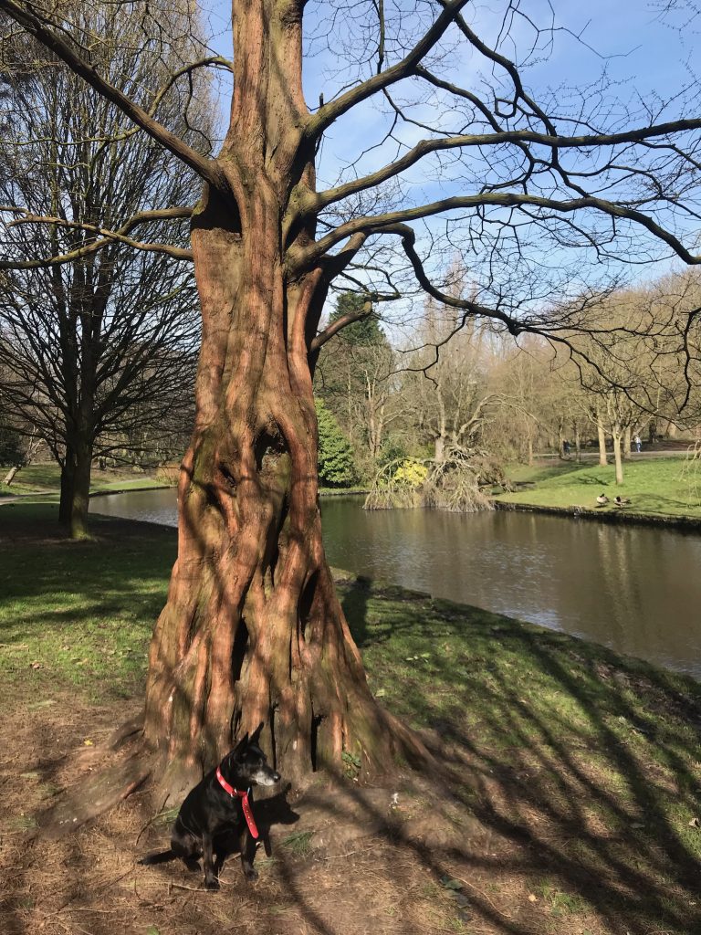 Tina in Sefton Park